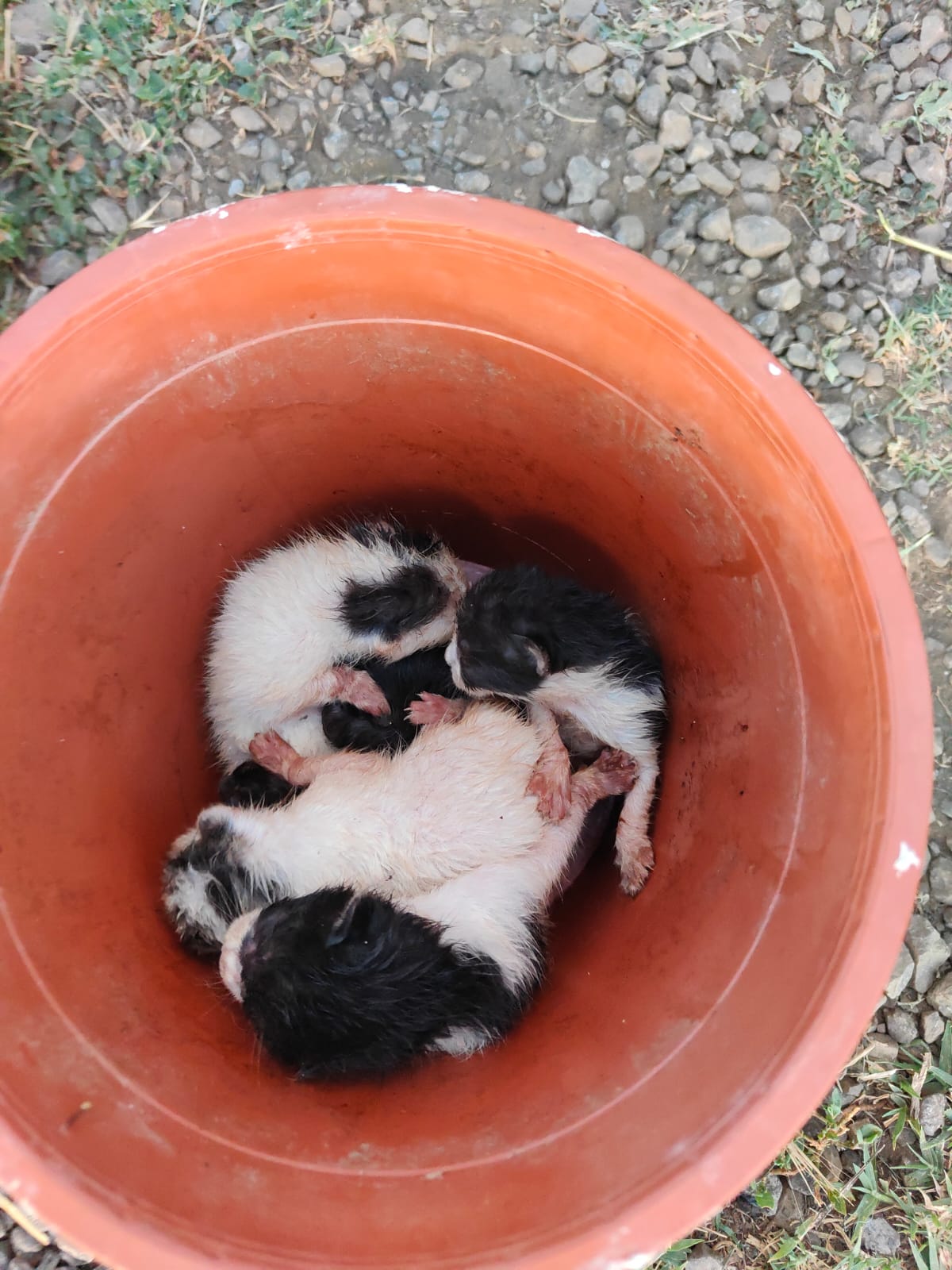 WhatsApp Image 2023 07 12 At 22.27.32