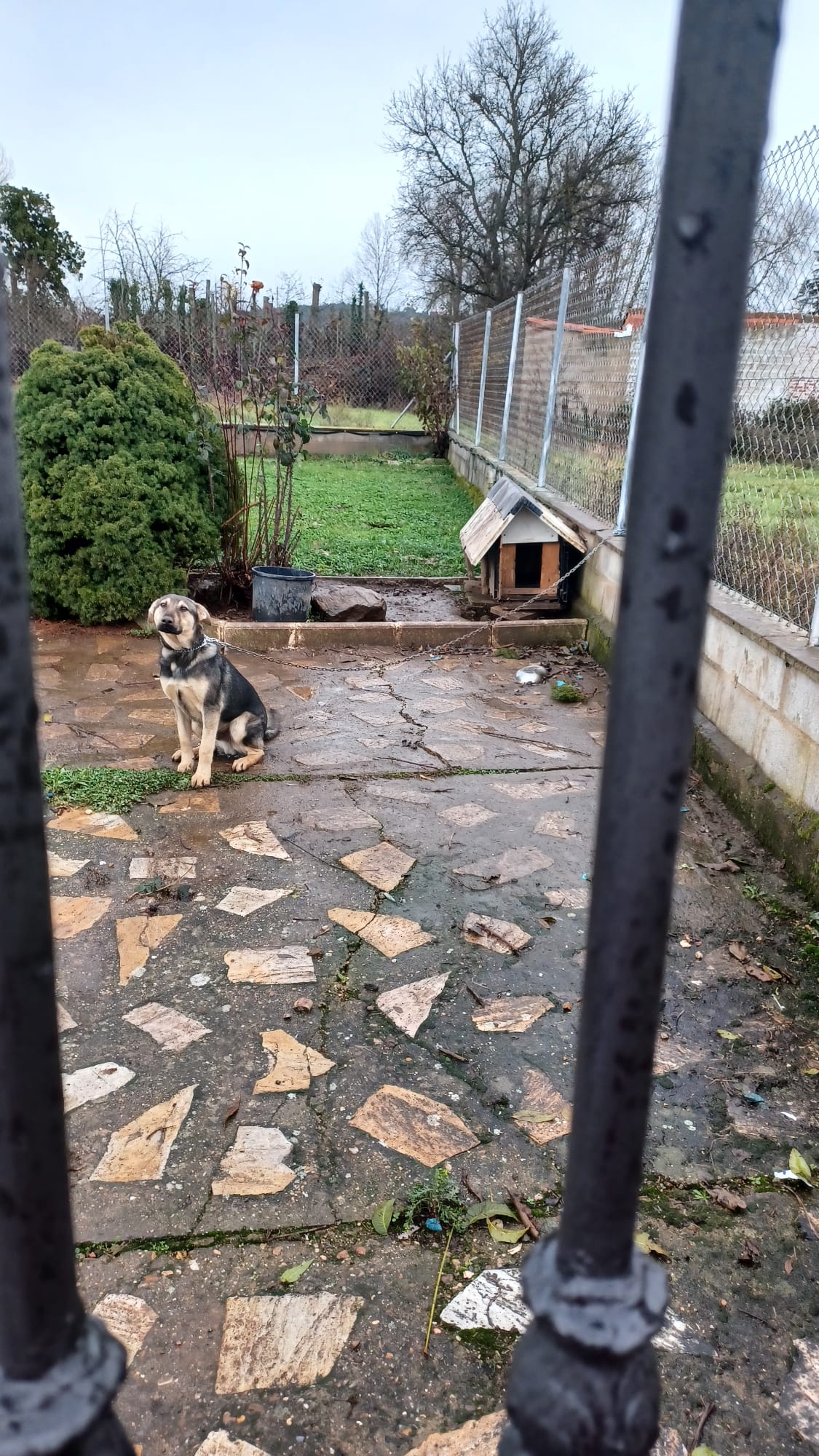 WhatsApp Image 2023 12 12 At 11.51.37